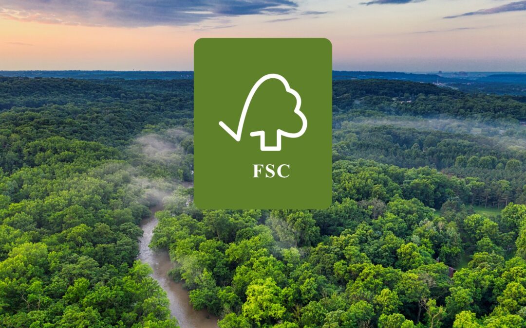 CORRUPAD obtient la certification FSC® : un engagement renforcé pour le calage carton durable